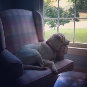 Ellie Makes Up Her Mind